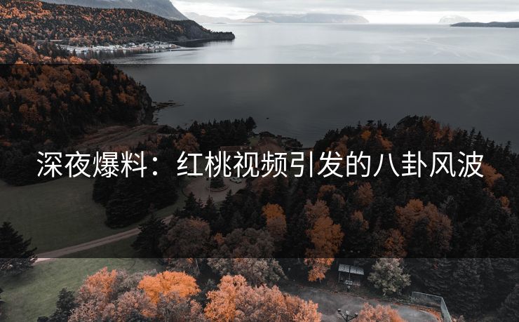 深夜爆料:红桃视频引发的八卦风波