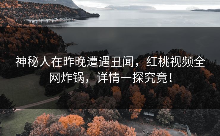 神秘人在昨晚遭遇丑闻，红桃视频全网炸锅，详情一探究竟！