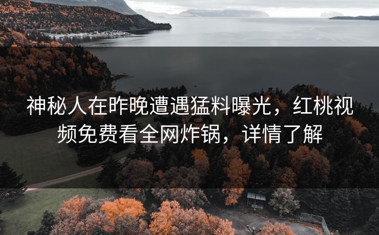 神秘人在昨晚遭遇猛料曝光，红桃视频免费看全网炸锅，详情了解